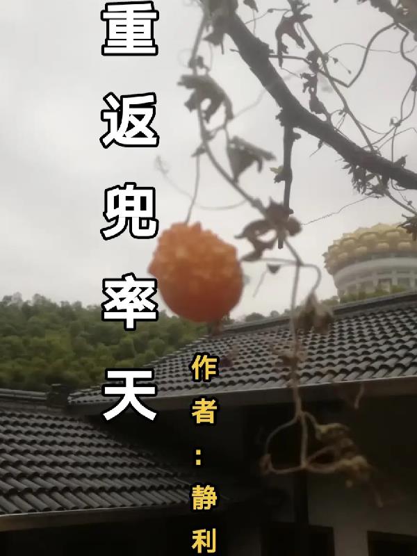 兜率天原视频